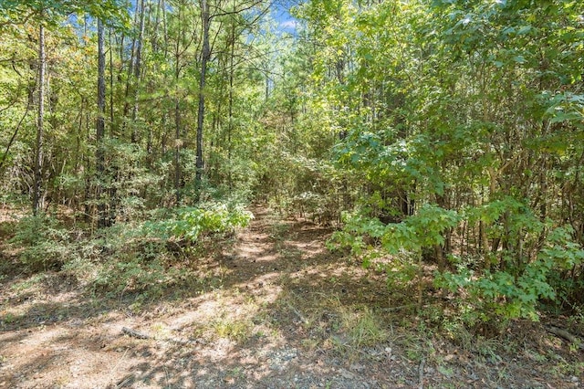 541 Live Oak Dr, Brookeland, TX 75931