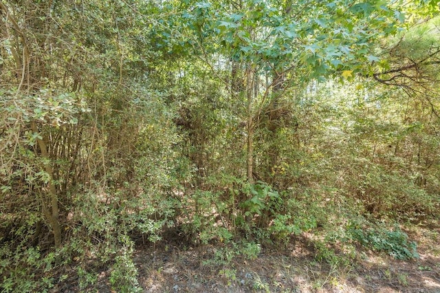 541 Live Oak Dr, Brookeland, TX 75931
