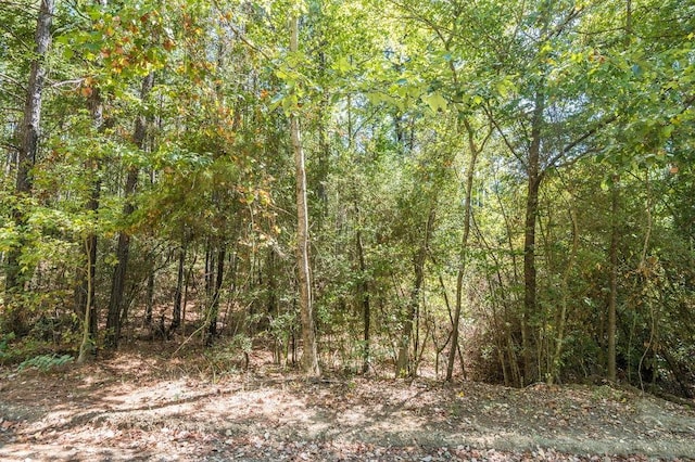 541 Live Oak Dr, Brookeland, TX 75931