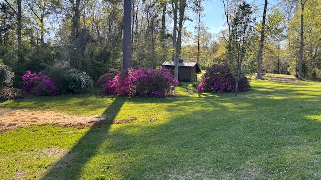 672 Oakhill Rd, Hemphill, TX 75948 - view of yard featuring an outbuilding and a shed