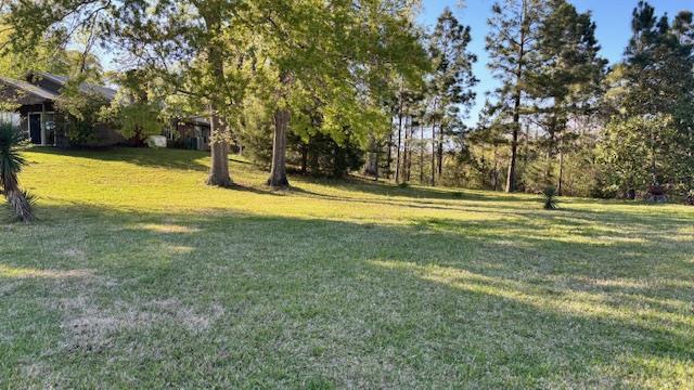 672 Oakhill Rd, Hemphill, TX 75948 - view of yard