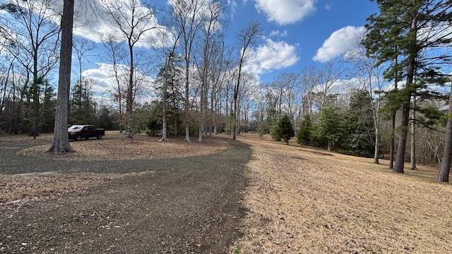 672 Oakhill Rd, Hemphill, TX 75948 - view of road