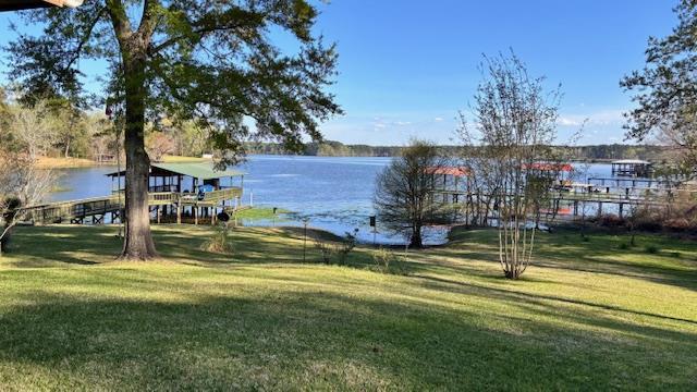 672 Oakhill Rd, Hemphill, TX 75948 - view of yard with a boat dock and a water view