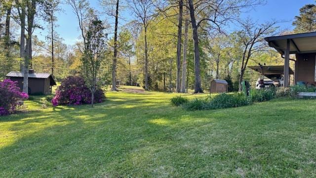 672 Oakhill Rd, Hemphill, TX 75948 - view of yard featuring a storage unit and an outdoor structure
