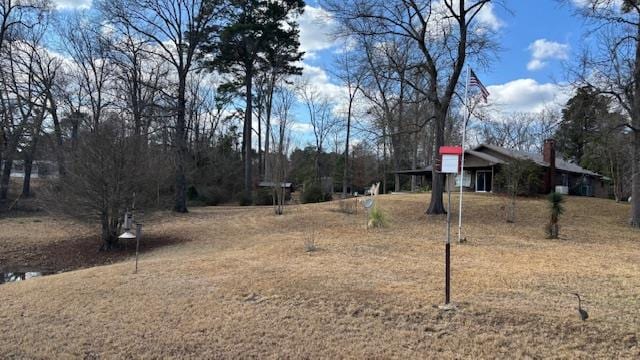 672 Oakhill Rd, Hemphill, TX 75948 - view of yard