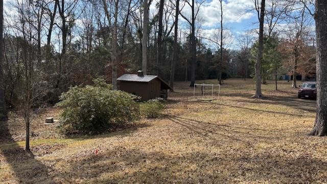 view of yard with a shed