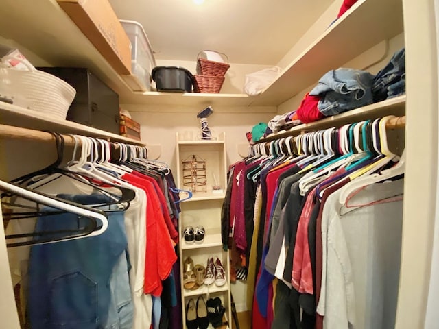 view of walk in closet