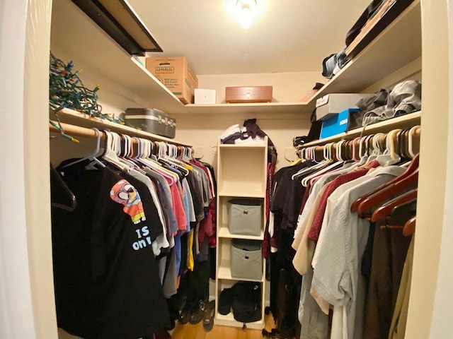 walk in closet featuring hardwood / wood-style flooring