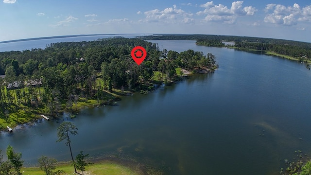 627 Shoreline Dr, Brookeland, TX 75931 - drone / aerial view of a nearby body of water
