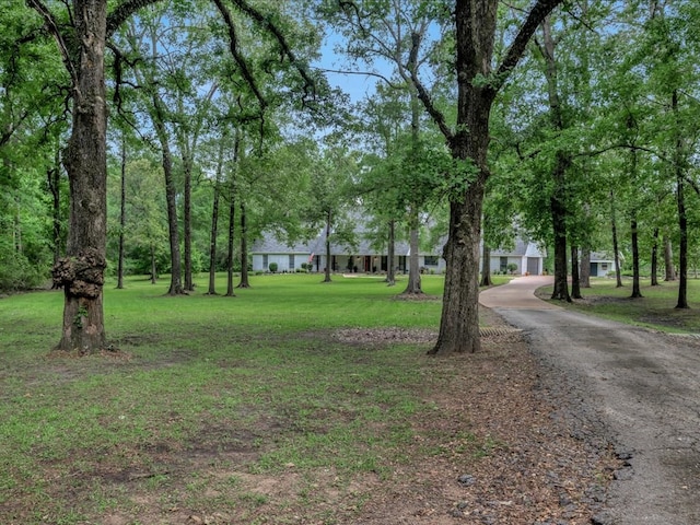 3274 Cc Rd, Diboll, TX 75941 - view of grassy yard