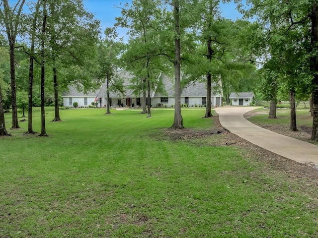 3274 Cc Rd, Diboll, TX 75941 - view of community featuring a yard