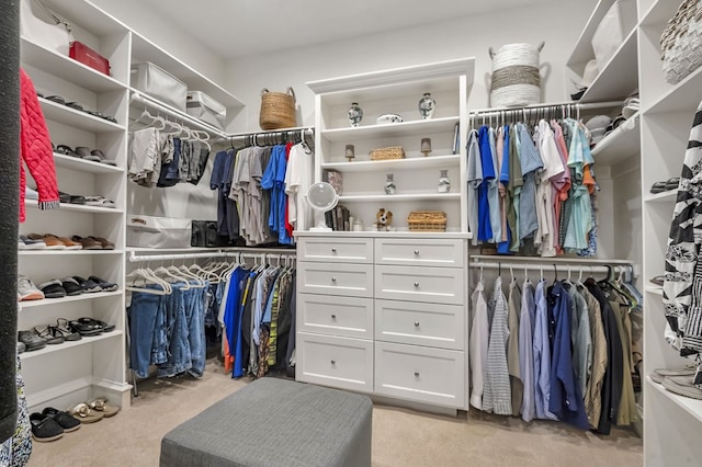 spacious closet with light colored carpet