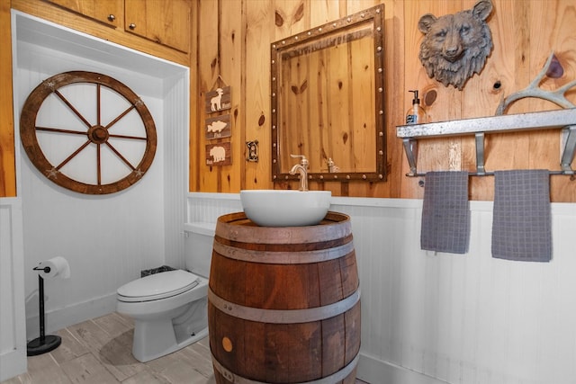 bathroom with vanity, a wainscoted wall, and toilet