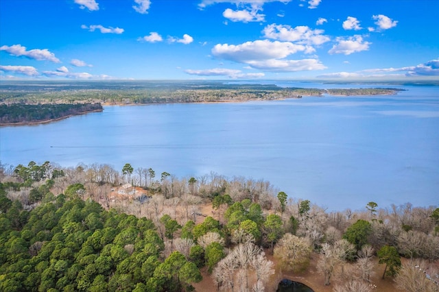 property view of water with a wooded view