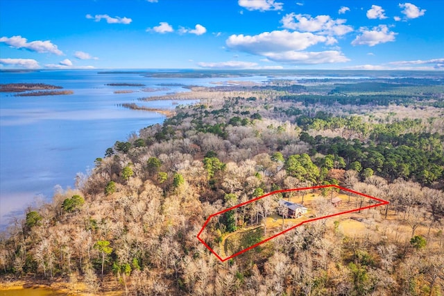 bird's eye view with a water view and a view of trees