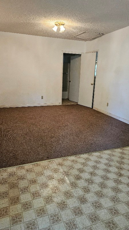 unfurnished room with carpet flooring and a textured ceiling