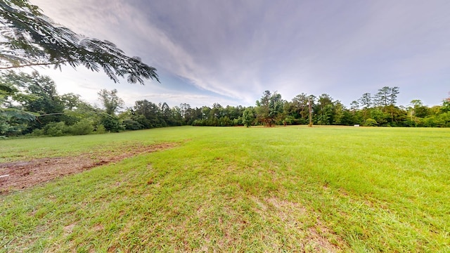 1780 County Road 293, Jasper, TX 75951 - view of grassy yard