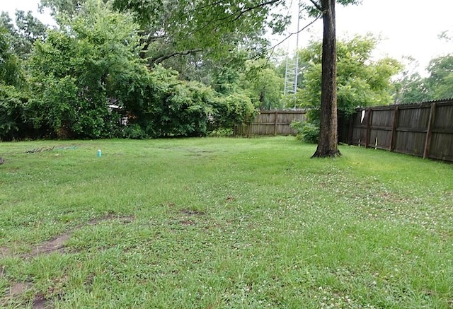 118 Jones St, Lufkin, TX 75901 - view of yard