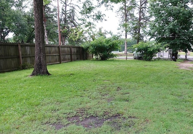 118 Jones St, Lufkin, TX 75901 - view of yard