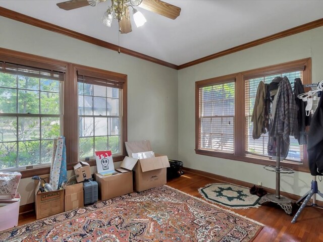 interior space with crown molding, hardwood / wood-style floors, and ceiling fan