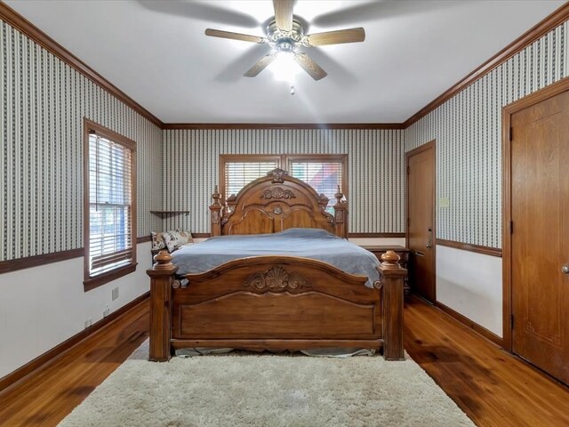 bedroom featuring multiple windows, ceiling fan, dark hardwood / wood-style flooring, and ornamental molding