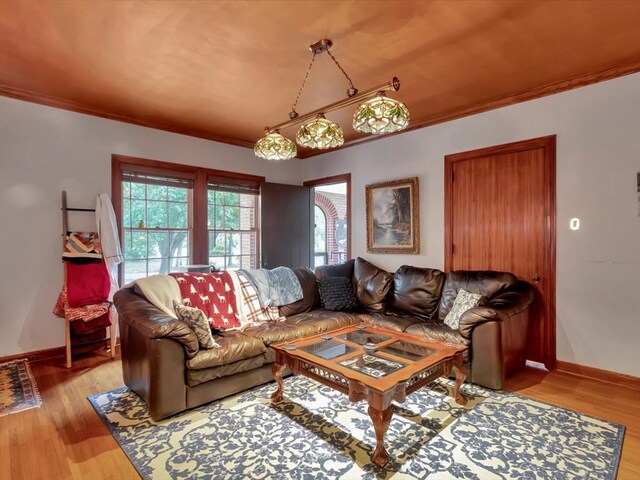 living room with plenty of natural light, light hardwood / wood-style floors, and crown molding