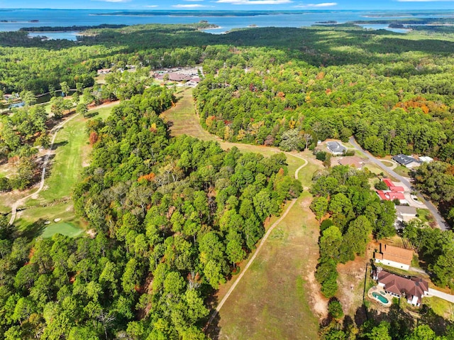 827 Duffer Dr, Brookeland, TX 75931 - view of property location featuring a heavily wooded area and a large body of water