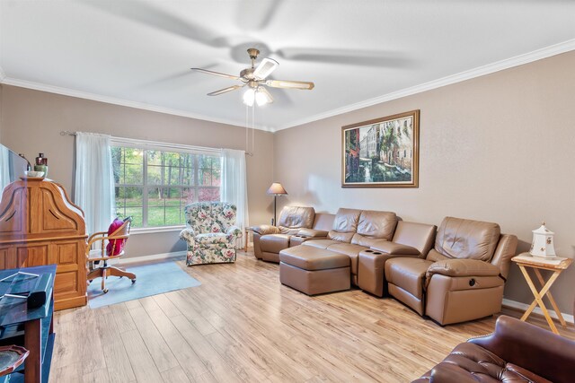 living room featuring light hardwood / wood-style floors, ceiling fan, and crown molding