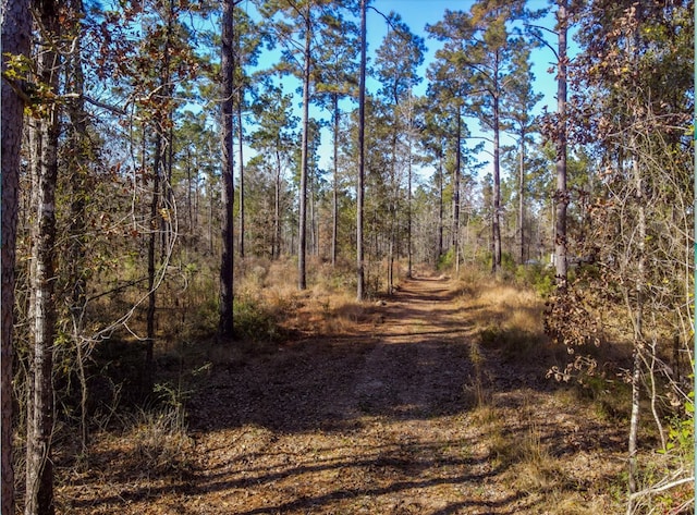 Listing photo 3 for TBD Whitehead Rd, Lufkin TX 75901