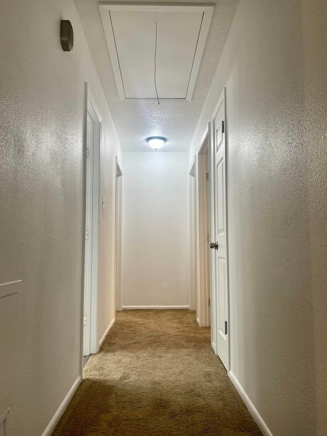 hall with light carpet