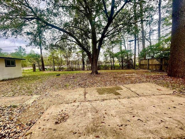 view of yard with a patio area