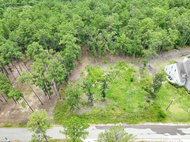 725 Crooked Branch Rd, Brookeland, TX 75931