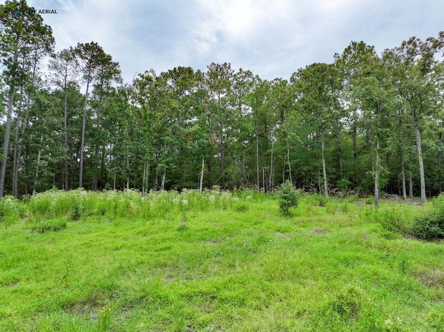 725 Crooked Branch Rd, Brookeland, TX 75931