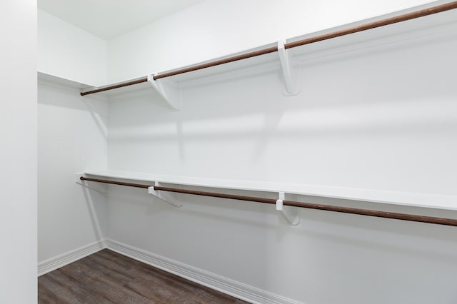 walk in closet with dark wood finished floors