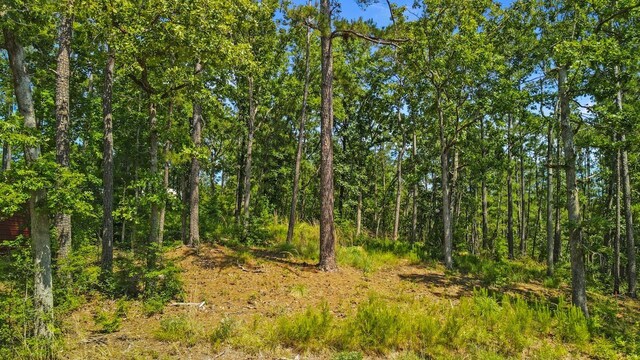 165 Oriole Dr, Brookeland, TX 75931