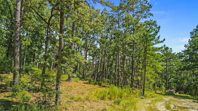 165 Oriole Dr, Brookeland, TX 75931