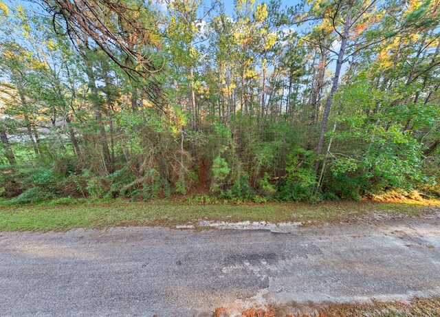 35904 Shoreline Dr, Brookeland, TX 75951