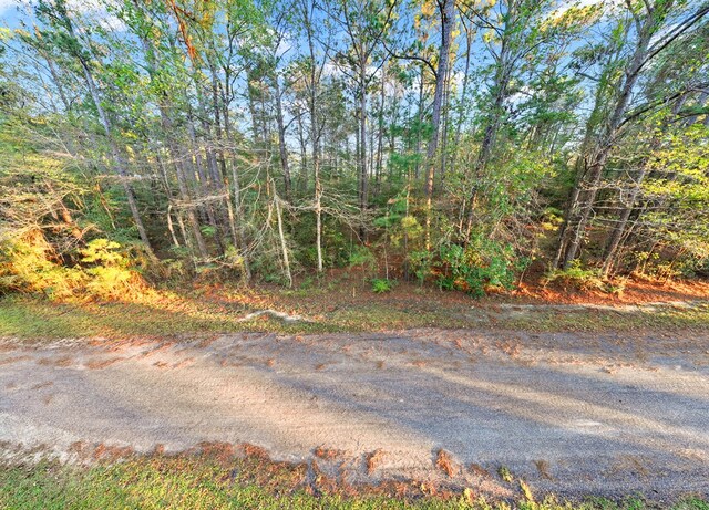 35904 Shoreline Dr, Brookeland, TX 75951