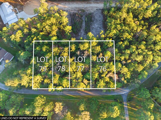 35904 Shoreline Dr, Brookeland, TX 75951