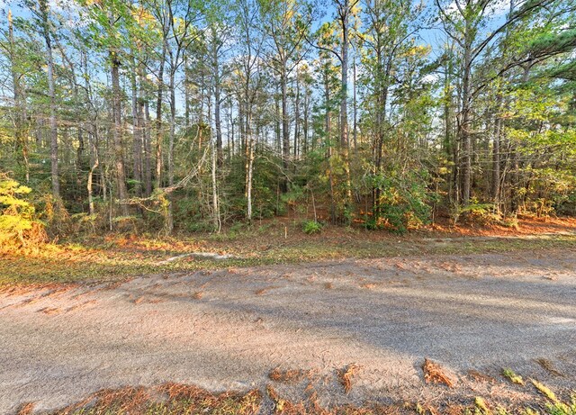 35904 Shoreline Dr, Brookeland, TX 75951