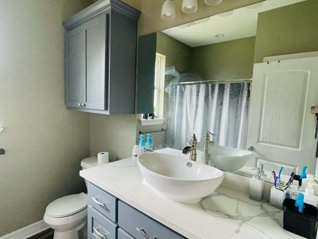 bathroom with vanity, toilet, and walk in shower