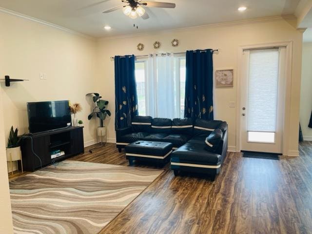 living room with crown molding, dark hardwood / wood-style flooring, and ceiling fan