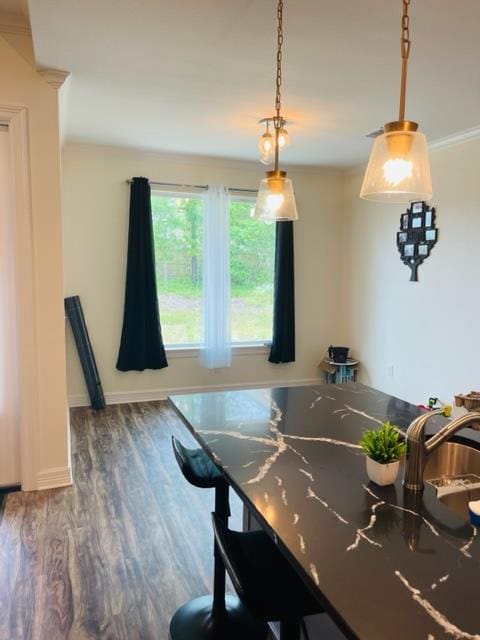 dining area featuring dark wood-type flooring