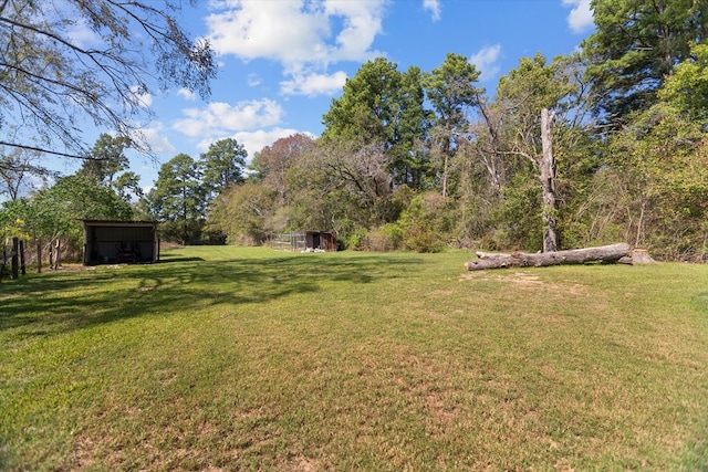 view of yard featuring an outdoor structure