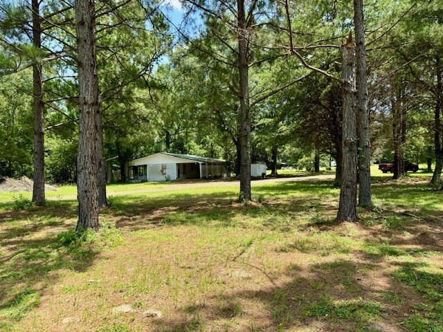 2773 Fm 92 S, Woodville, TX 75979 - photo 11