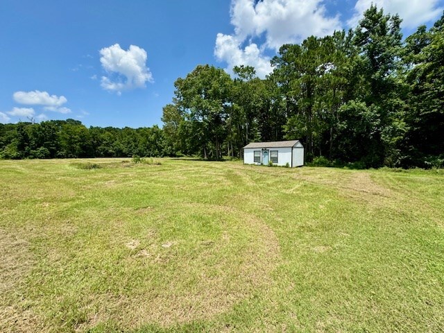 2773 Fm 92 S, Woodville, TX 75979 - photo 16