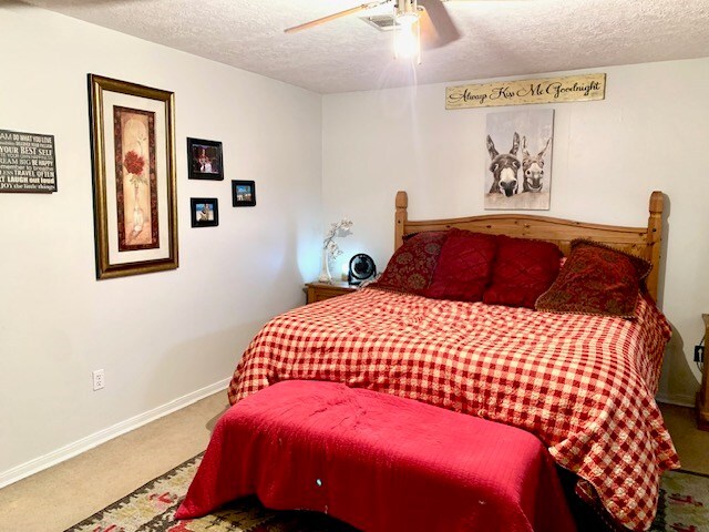 644 Rr 255, Colmesneil, TX 75938 - photo 18