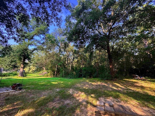515 County Road 4068, Bon Wier, TX 75928 - photo 11