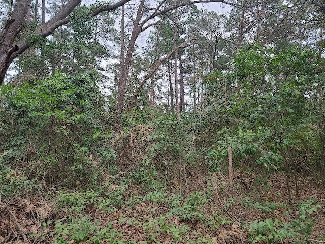 10000 US Highway 259 N, Nacogdoches, TX 75965 - photo 4