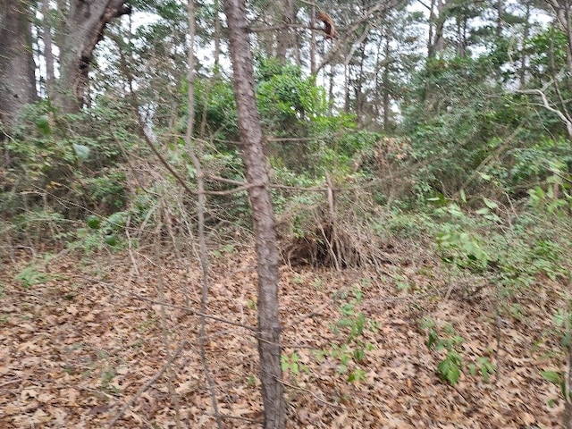 10000 US Highway 259 N, Nacogdoches, TX 75965 - photo 6
